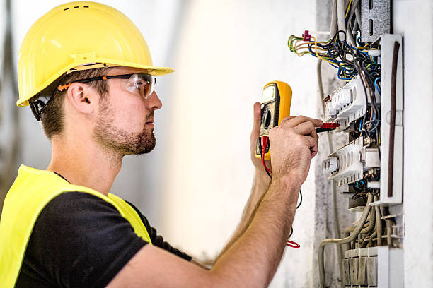 Best Electrical Panel Upgrades  in Roselle, IL